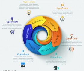 Cricles option infographic template vectors 08