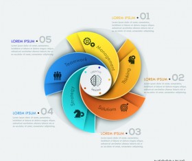 Cricles option infographic template vectors 11