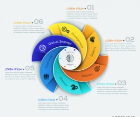 Cricles option infographic template vectors 12