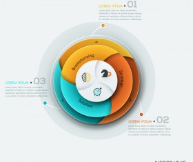 Cricles option infographic template vectors 13