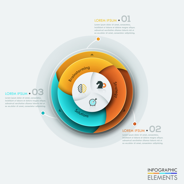 Cricles option infographic template vectors 13