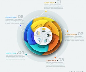 Cricles option infographic template vectors 15