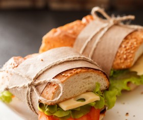 Delicious cheese sandwich Stock Photo 01