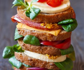 Delicious cheese sandwich Stock Photo 02