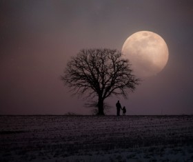 Father and daughter standing under the tree at night Stock Photo