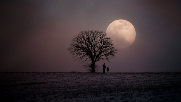 Father and daughter standing under the tree at night Stock Photo