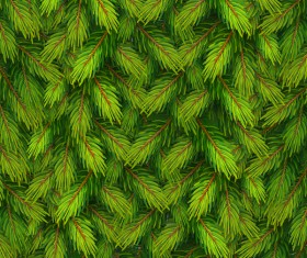 Fir branches christmas background vector