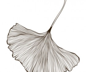 Ginkgo Leaf Photoshop Brushes