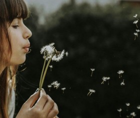 Girl blowing dandelion flowers Stock Photo