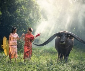Girl wearing bright-colored cheongsam Stock Photo
