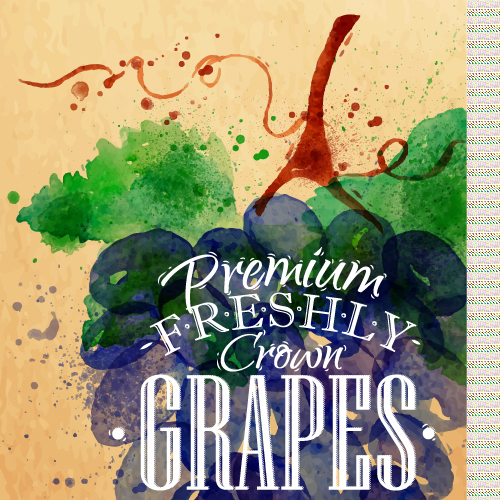 Grapes watercolor drawing vector