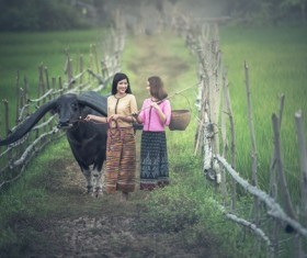 Grazing young girl Stock Photo 01