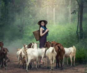Grazing young girl Stock Photo 04