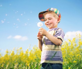 Happy little boy holding a dandelion flower Stock Photo