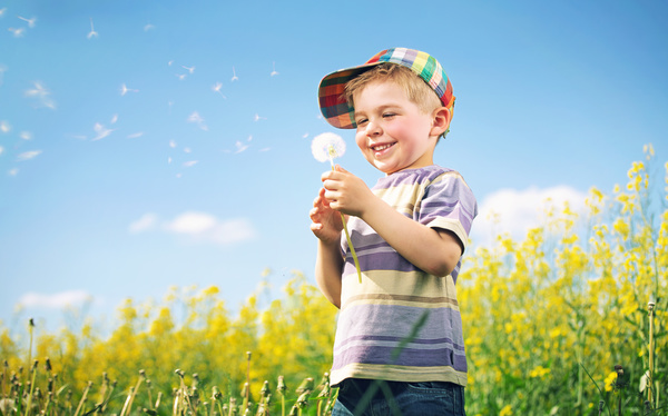 Happy little boy holding a dandelion flower Stock Photo