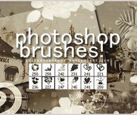Heart Decoratiove Photoshop Brushes