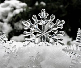 Ice flower macro on the snow Stock Photo