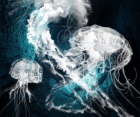 Jellyfish Photoshop Brushes