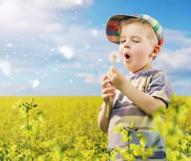 Little boy blowing dandelion flower Stock Photo