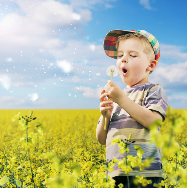 Little boy blowing dandelion flower Stock Photo