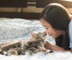 Little girl and cat close interaction Stock Photo