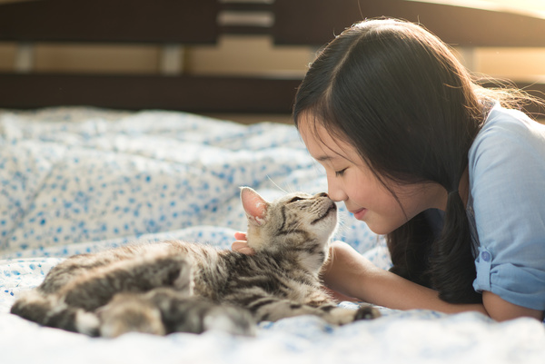 Little girl and cat close interaction Stock Photo