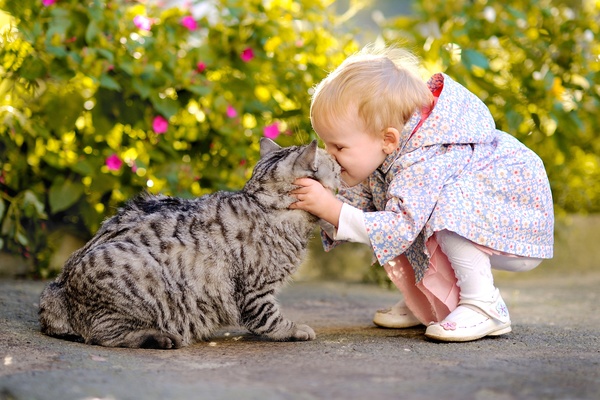 Little girl and pet cat Stock Photo