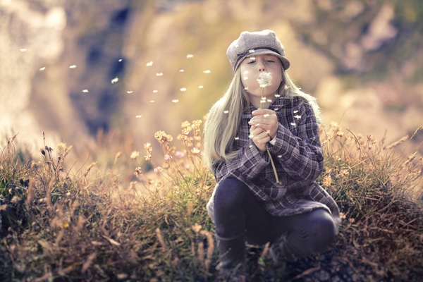 Little girl blowing dandelion flowers Stock Photo