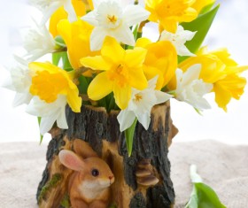 Narcissus flower arrangement Stock Photo 01