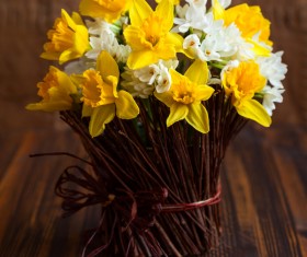Narcissus flower arrangement Stock Photo 02