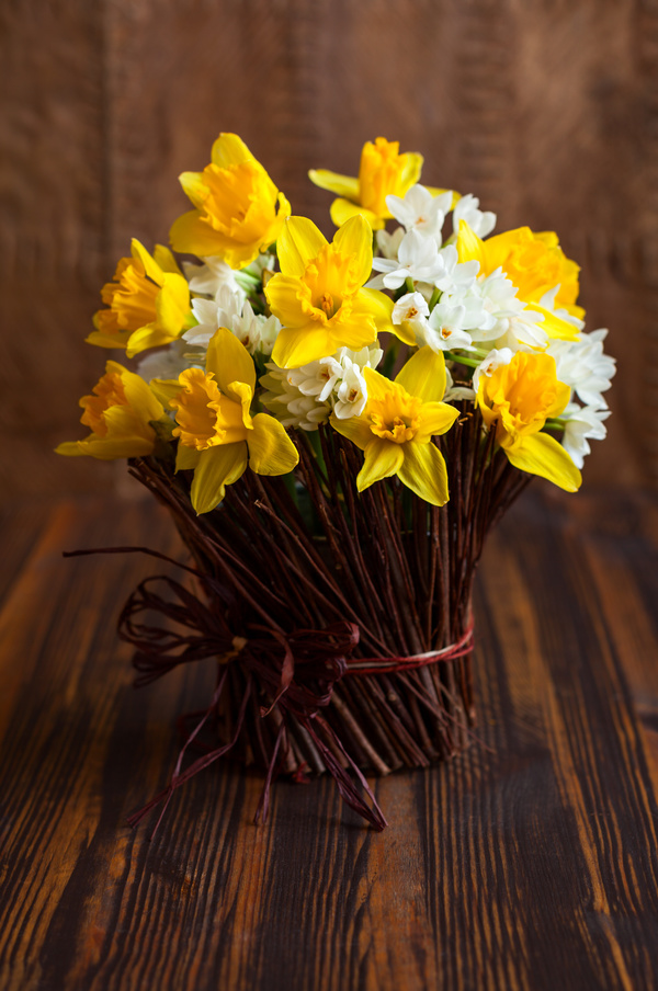Narcissus flower arrangement Stock Photo 02