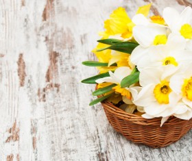 Narcissus flower arrangement Stock Photo 03
