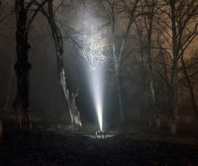 Night lights in the woods Stock Photo