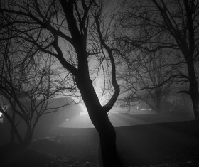 Night photos Stock Photo 04