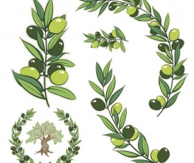 Olive Branch illustration vector