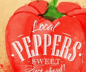 Peppers watercolor drawing vector