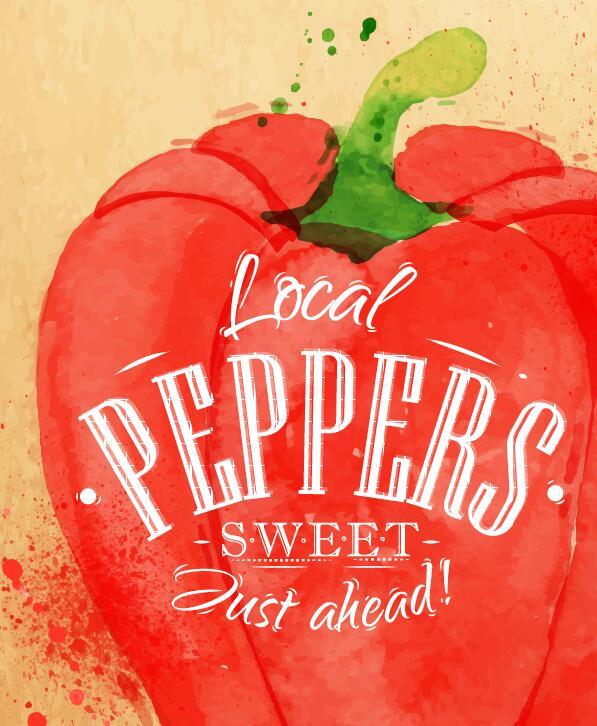 Peppers watercolor drawing vector