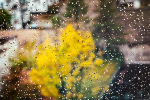 Rainy day glass drops Stock Photo