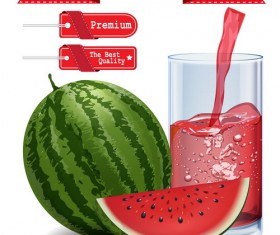 Red tag with watermelon juice vector