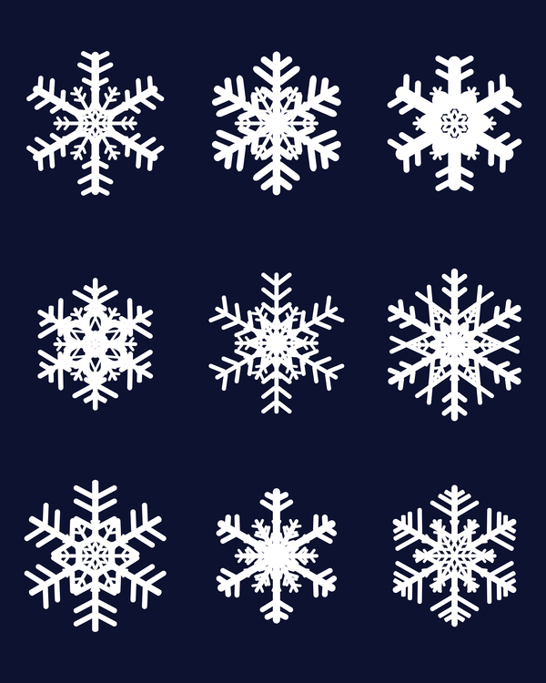 Set of christmas snowflake illustration vector 06