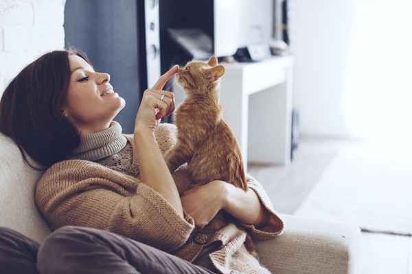 Sitting on the couch woman and pet cat Stock Photo