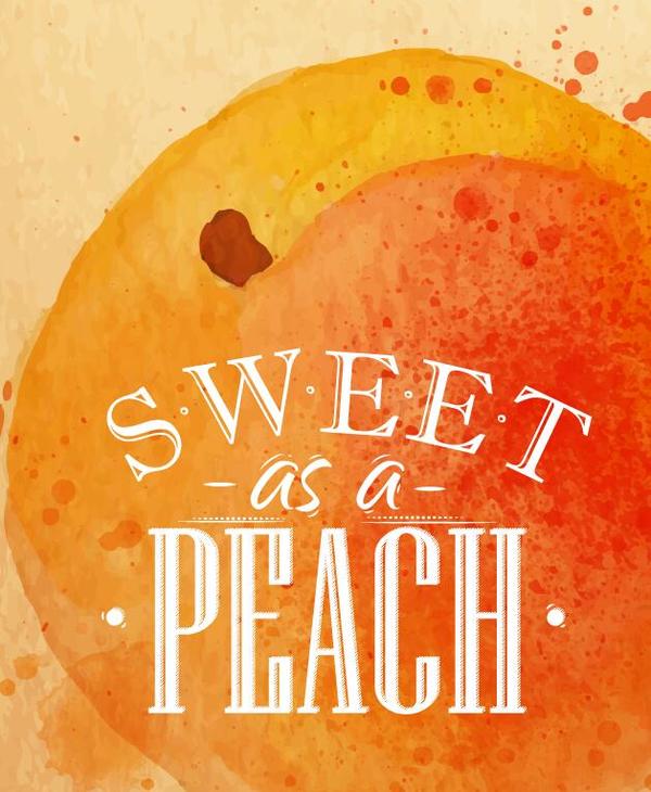 Sweet peach watercolor drawing vector