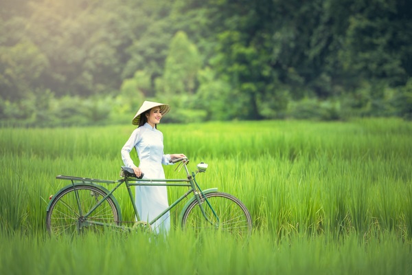 Vietnamese girl pushing bicycle standing in farmland Stock Photo