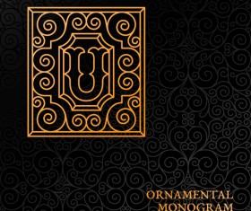 Vintage ornaments pattern luxury design vector 14