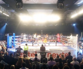Watch boxing match Stock Photo