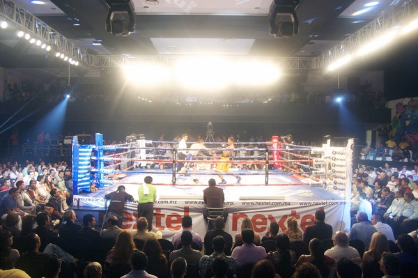 Watch boxing match Stock Photo