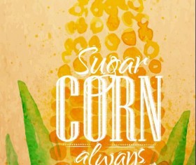 Watercolor drawn corn vector