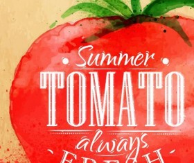 Watercolor drawn tomato vector