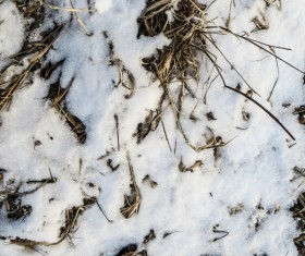 Winter Snow and Hay Texture Stock Photo 04
