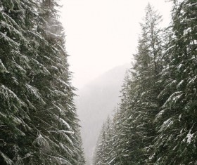 Woman walking outdoors on snow day Stock Photo